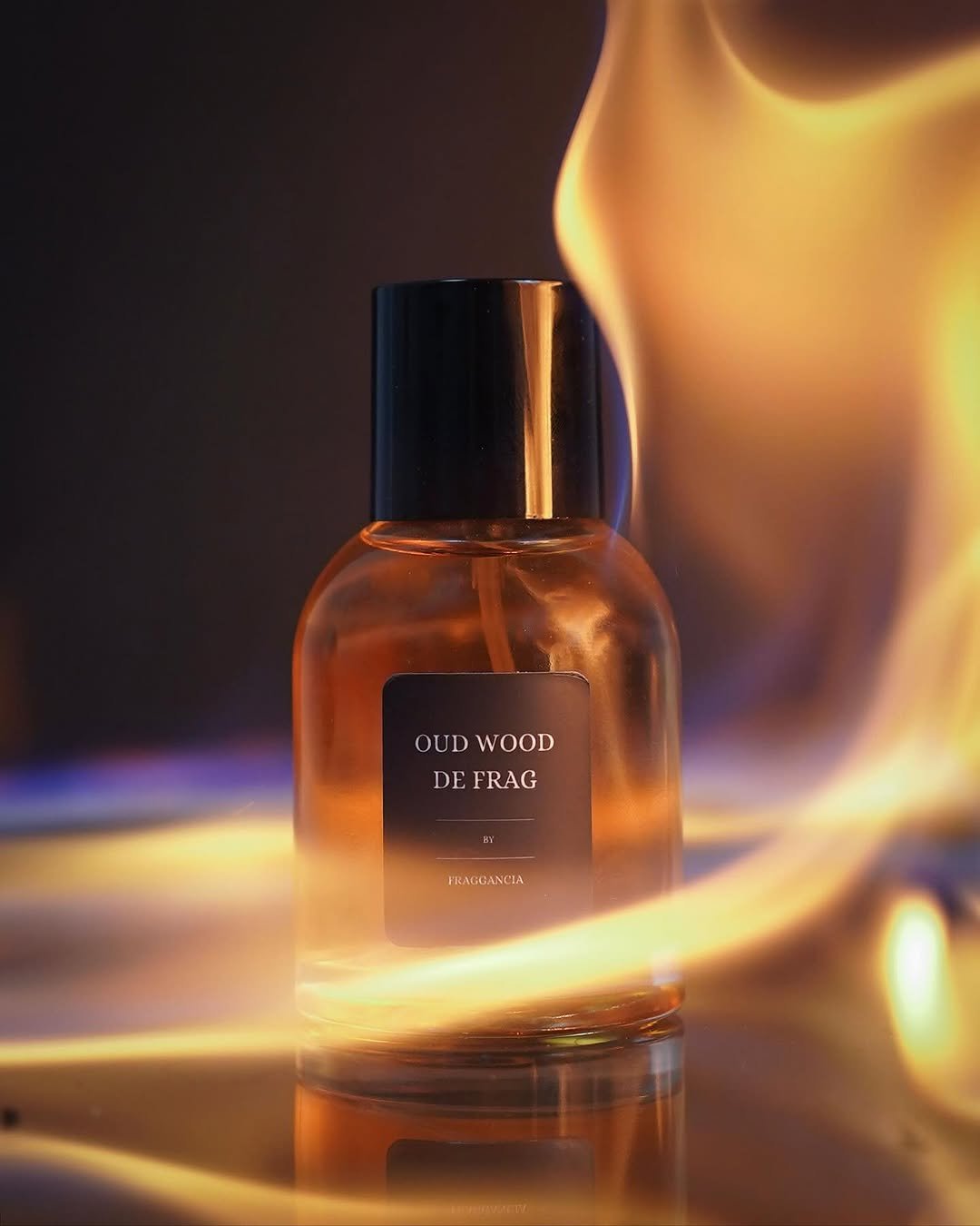 Fraggancia Product Photo 1 by Vebloom